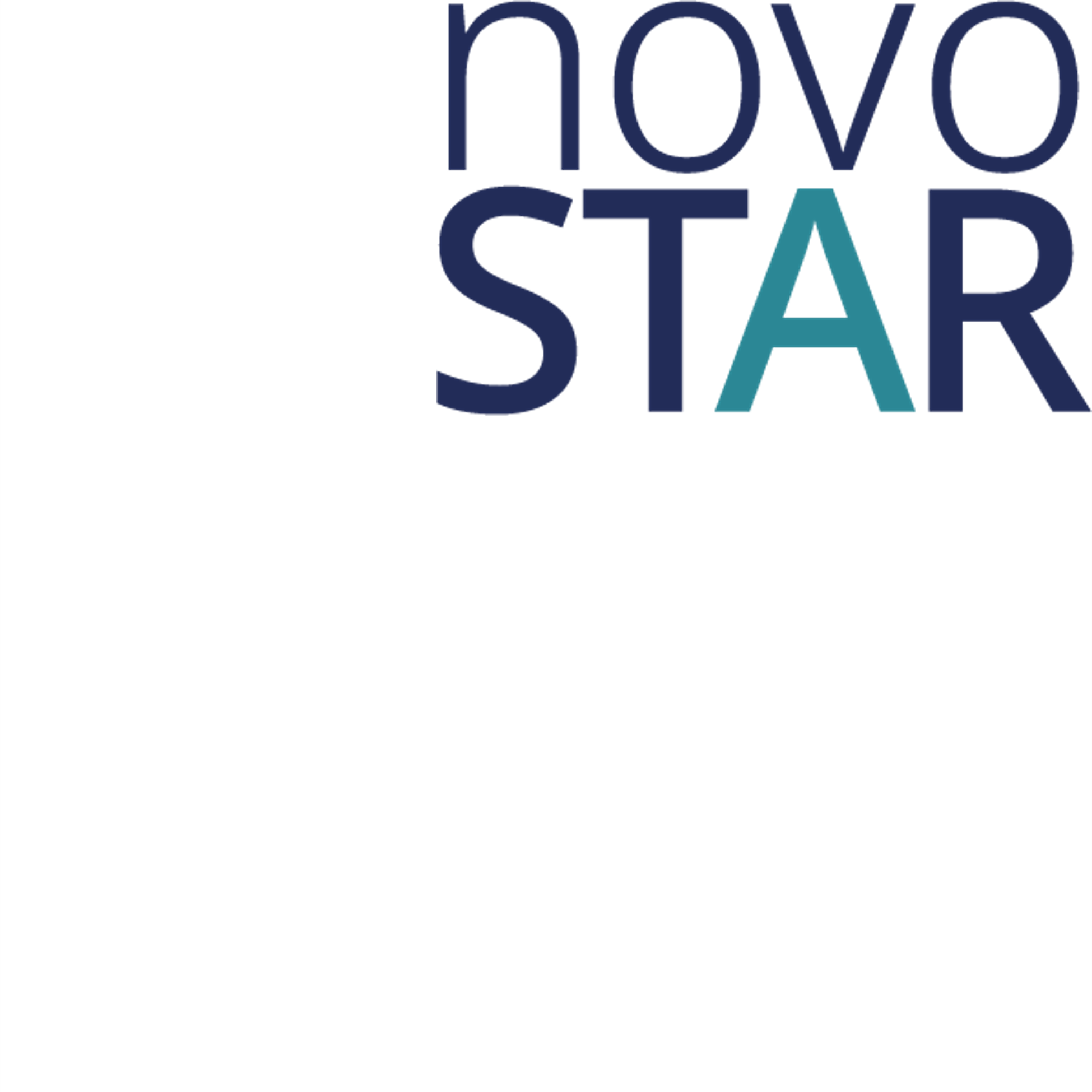 Logo with the wordmark - Novo Start